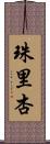 珠里杏 Scroll