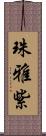 珠雅紫 Scroll