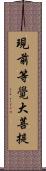 現前等覺大菩提 Scroll