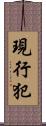 現行犯 Scroll