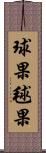 球果 Scroll