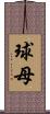 球母 Scroll