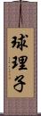 球理子 Scroll