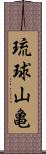 琉球山亀 Scroll