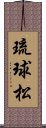 琉球松 Scroll