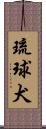 琉球犬 Scroll
