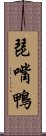 琵嘴鴨 Scroll