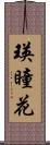 瑛瞳花 Scroll