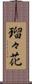 瑠々花 Scroll