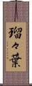 瑠々葉 Scroll