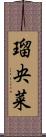 瑠央菜 Scroll