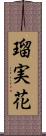 瑠実花 Scroll