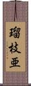 瑠枝亜 Scroll