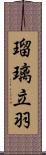 瑠璃立羽 Scroll