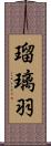 瑠璃羽 Scroll