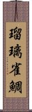 瑠璃雀鯛 Scroll