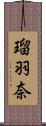 瑠羽奈 Scroll