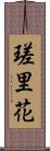 瑳里花 Scroll