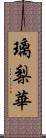 璃梨華 Scroll