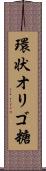 環状オリゴ糖 Scroll