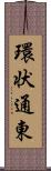 環状通東 Scroll