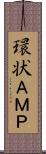 環状ＡＭＰ Scroll