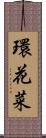 環花菜 Scroll