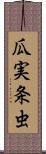 瓜実条虫 Scroll