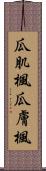 瓜肌楓 Scroll