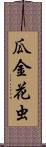 瓜金花虫 Scroll