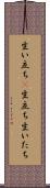 生い立ち(P) Scroll