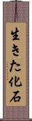 生きた化石 Scroll