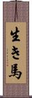 生き馬 Scroll