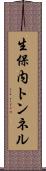生保内トンネル Scroll