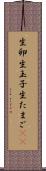 生卵 Scroll