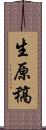 生原稿 Scroll