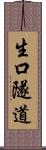 生口隧道 Scroll