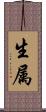 生属 Scroll