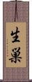 生巣 Scroll