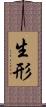 生形 Scroll
