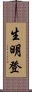 生明登 Scroll