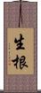 生根 Scroll
