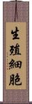 生殖細胞 Scroll