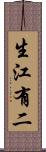 生江有二 Scroll