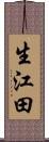 生江田 Scroll
