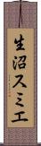 生沼スミエ Scroll