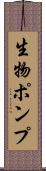 生物ポンプ Scroll