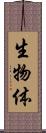 生物体 Scroll