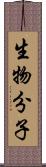 生物分子 Scroll