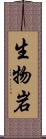 生物岩 Scroll